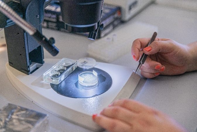 As a research-focused university, UC Merced strives to engage undergraduates in authentic research experiences